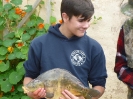 2014 Abfischen_3